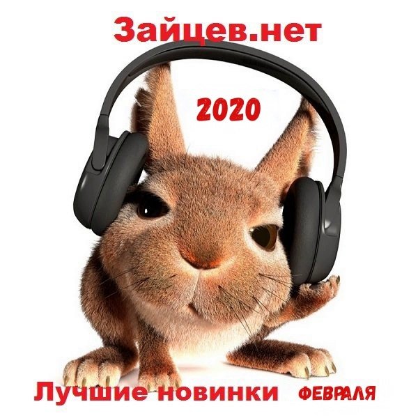 Зайцев.нет Лучшие новинки Февраля (2020)